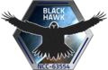Blackhawk patch large.png